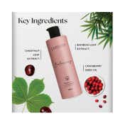 Pattern Balancing Shampoo (250 ml)