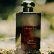 Jo Malone London Hinoki & Cedarwood Cologne Intense (50 ml) for Both Men & Women