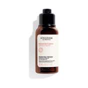 L'occitane Intense Repairing Shampoo - Clean Formula (75 ml)