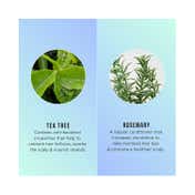 Hask Tea Tree Oil & Rosemary Hair & Scalp Treatment Mask (50 g)
