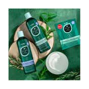 Hask Tea Tree Oil & Rosemary Hair & Scalp Treatment Mask (50 g)