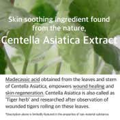 Mixsoon Soondy Centella Asiatica Essence (50 ml)