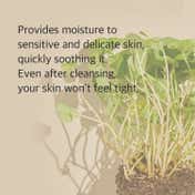Mixsoon Centella Cleansing Foam (150 ml)