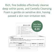 Mixsoon Centella Cleansing Foam (150 ml)