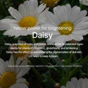 Mixsoon Daisy Essence (100 ml)