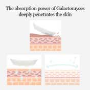 Mixsoon Galactomyces Toner Pad (280 ml)