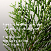 Mixsoon Hinoki Essence (100 ml)