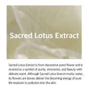 Mixsoon Lotus Flower Essence (100 ml)