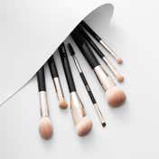 PAC Beginner Basic Face and Eye Brush Kit (7 pcs)