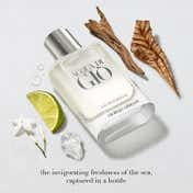 Giorgio Armani Acqua Di Gio Eau De Toilette (100 ml)