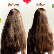 Mamaearth Kerala Thaali Shampoo with Shikakai Amla Flax Seeds for Thick & Long Hair (250 ml)