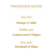 Legend 1942 In-DNA Black Perfume (30 ml)