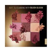 Lakme UltimateGlam Eyeshadow - BlushBloom (11.7 g)