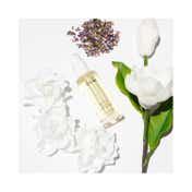OUAI Hair Oil (45 ml)