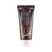 Mizon Multi Function Formula Snail Repairing Foam Cleanser (60 ml)