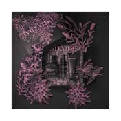 Valentino Born In Roma Uomo EDP and Shower Gel Gift Set (3 pcs)