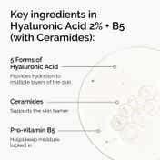 The Ordinary Hyaluronic Acid 2% + B5 V2 Next Gen (30 ml)