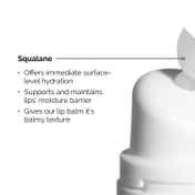 The Ordinary Squalane + Amino Acids Lip Balm, Hydrating Lip Balm, for Lips, Elbows, and Cuticles (15 ml)
