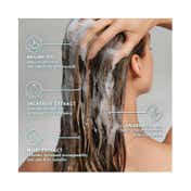Moroccanoil Frizz Control Shampoo (250 ml)