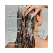 Moroccanoil Frizz Control Shampoo (70 ml)