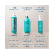 Moroccanoil Frizz Shield Spray (160 ml)