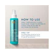 Moroccanoil Frizz Shield Spray (160 ml)