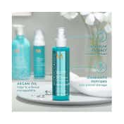 Moroccanoil Frizz Shield Spray (160 ml)