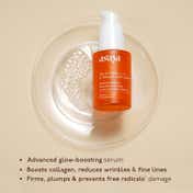 Asaya 15% Vitamin C + E & Ferulic Acid Face Serum (30 ml)