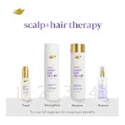 Dove Scalp+Hair Therapy Sulfate Free Density Boost Strengthening Shampoo (270 ml)