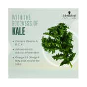Schwarzkopf Professional Scalp Soothing Serum Dry & Sensitive Scalp Kale + Madecassoside (100 ml)
