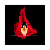 Paloma Picasso Eau De Toilette (100 ml)