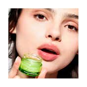 Farmacy Beauty Lip Smoothie Pear Kiwi (10 g)