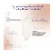 Augustinus Bader The Lip Balm (4 g)