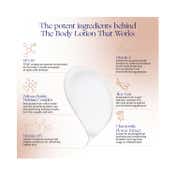 Augustinus Bader The Body Lotion (100 ml)