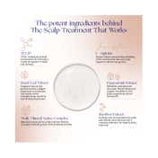 Augustinus Bader The Scalp Treatment (30 ml)