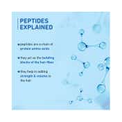 Plum Peptides Shampoo with Coconut Milk for Dry & Rough Hair 22x Softer Hair in 1 Wash (500 ml)