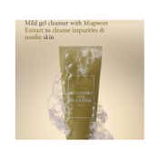 I'm From Mugwort Gel Cleanser (150 ml)