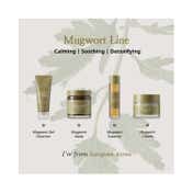 I'm From Mugwort Mask (110 g)