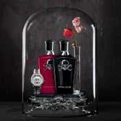 Police Potion Eau De Parfum for Her (100 ml)