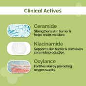 The Derma Co 4% Ceramide Barrier Repair Moisturizer (100 g)
