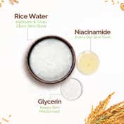 Mamaearth Rice Water Tone Up Face Cream with Rice Water & Niacinamide for Glass Skin (50 g)