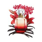 Roberto Cavalli Paradiso Assoluto Eau De Parfum (50 ml)