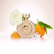 Guess Bella Vita Paradiso Eau de Parfum (100 ml)