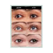 Sheglam All-In-One Volume & Length Mascara - Waterproof Black (8 g)