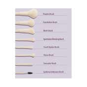 Sheglam Pro Core Brush Kit (8 pcs)