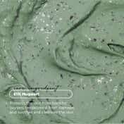 Axis-Y Mugwort Pore Clarifying Wash Off Pack (100 ml)