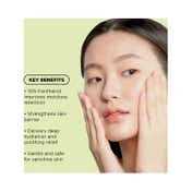 Axis-Y Panthenol 10 Skin Smoothing Shield Cream (50 ml)