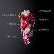 Shiseido Ginza Eau De Parfum  (50 ml)
