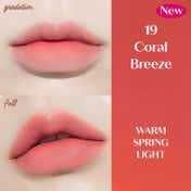 Etude Fixing Tint Lipstick #19 - Coral Breeze (4 g)