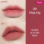 Etude Fixing Tint Lipstick #20 - Pink Fig (4 g)